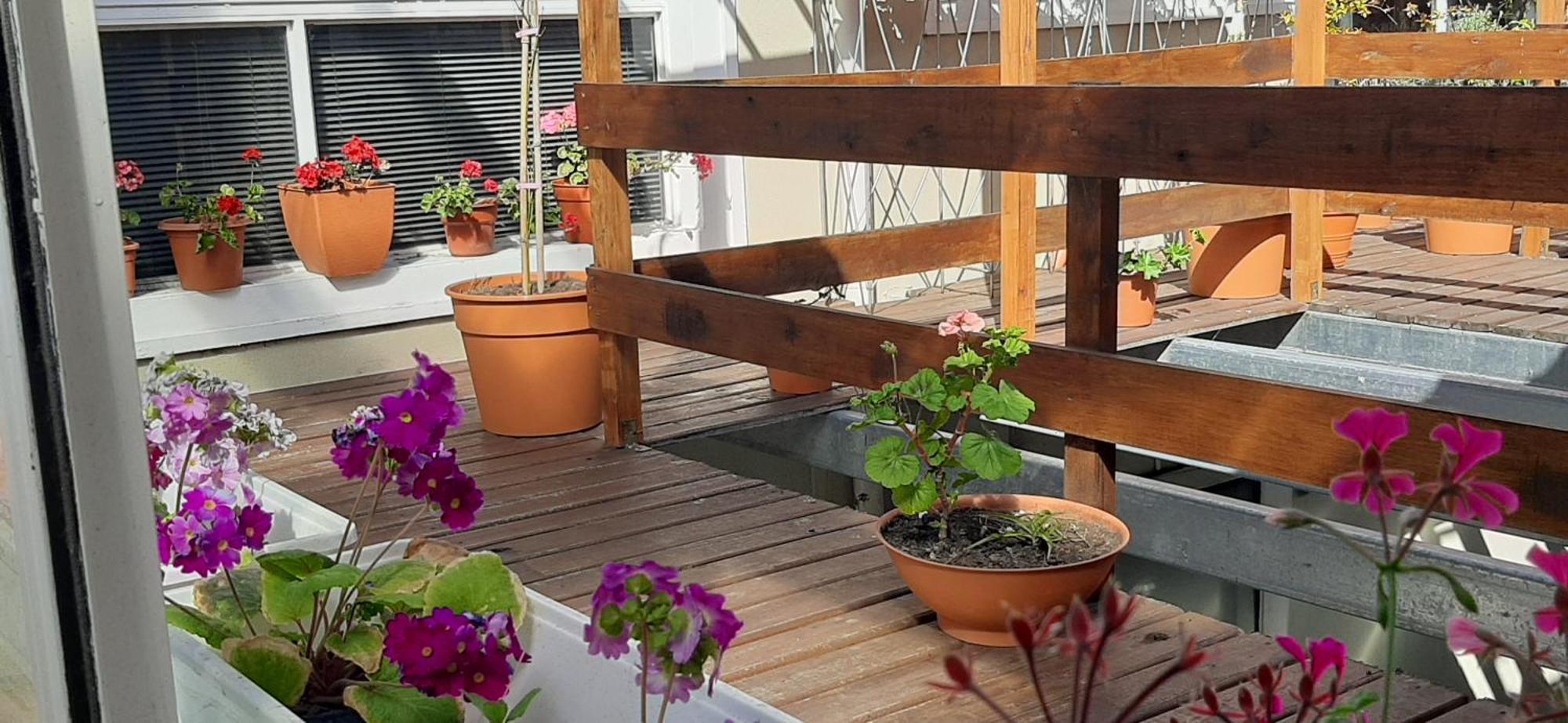 San Francisco Apartment Mar del Plata Exterior photo